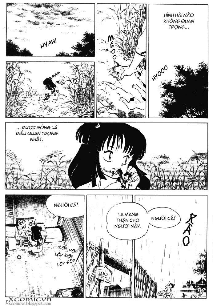 Lời Nguyền Bất Tử: Chapter 11