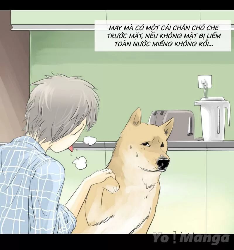 Một Con Chó: Chapter 1