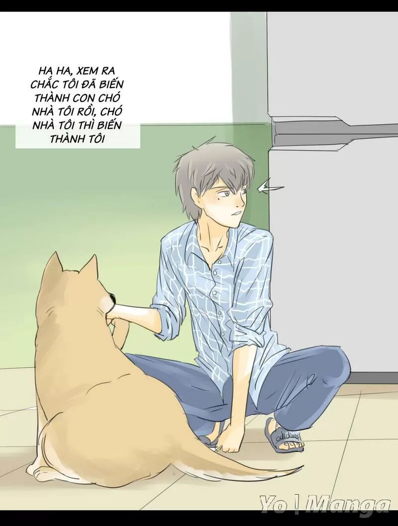 Một Con Chó: Chapter 1