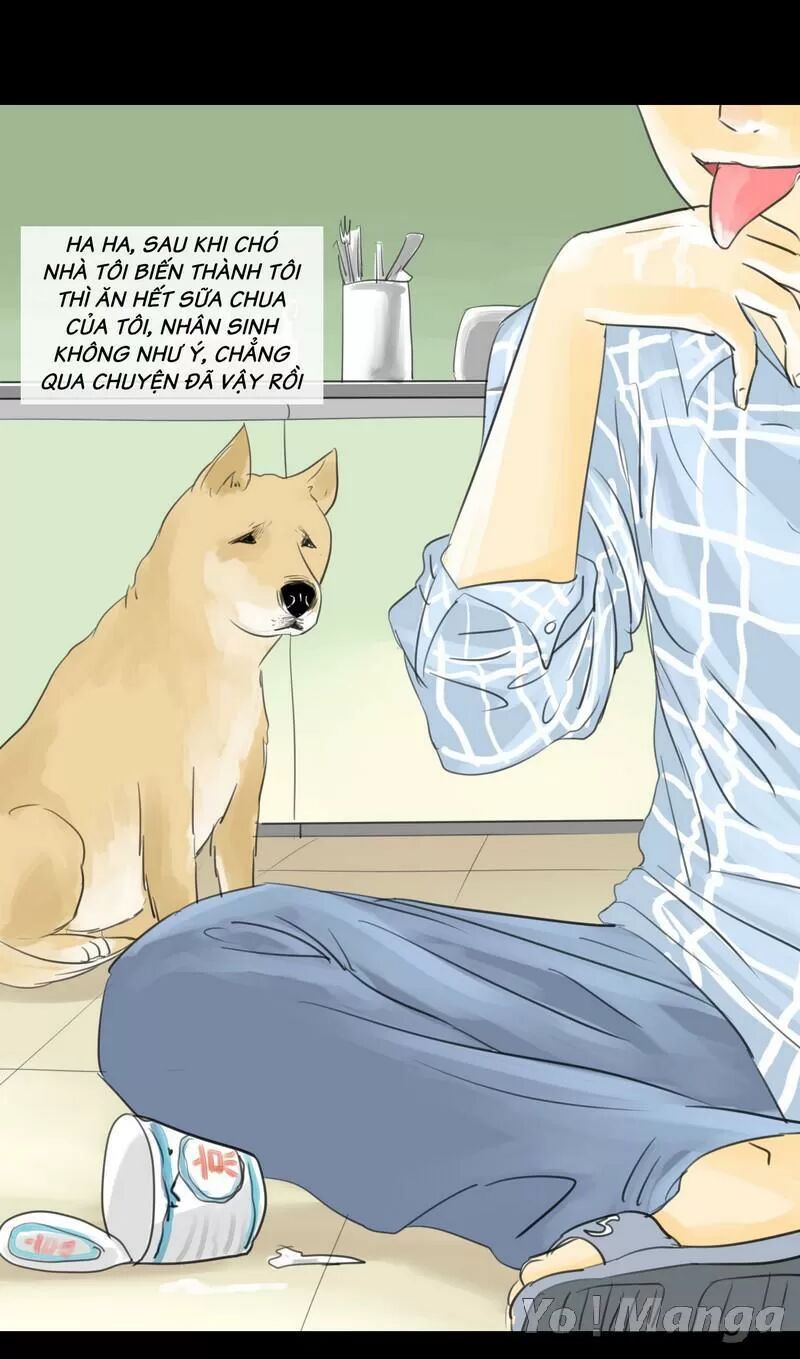 Một Con Chó: Chapter 1