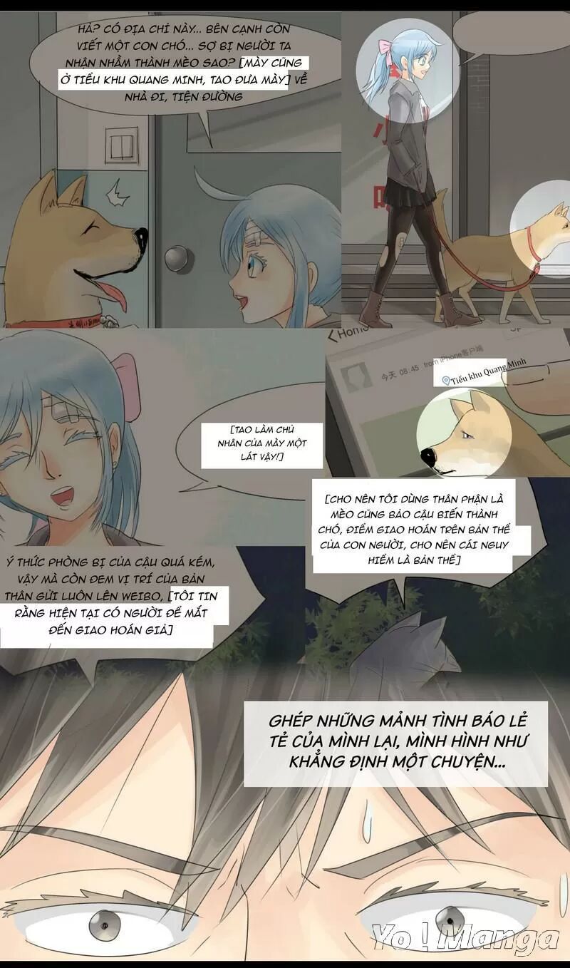 Một Con Chó: Chapter 11
