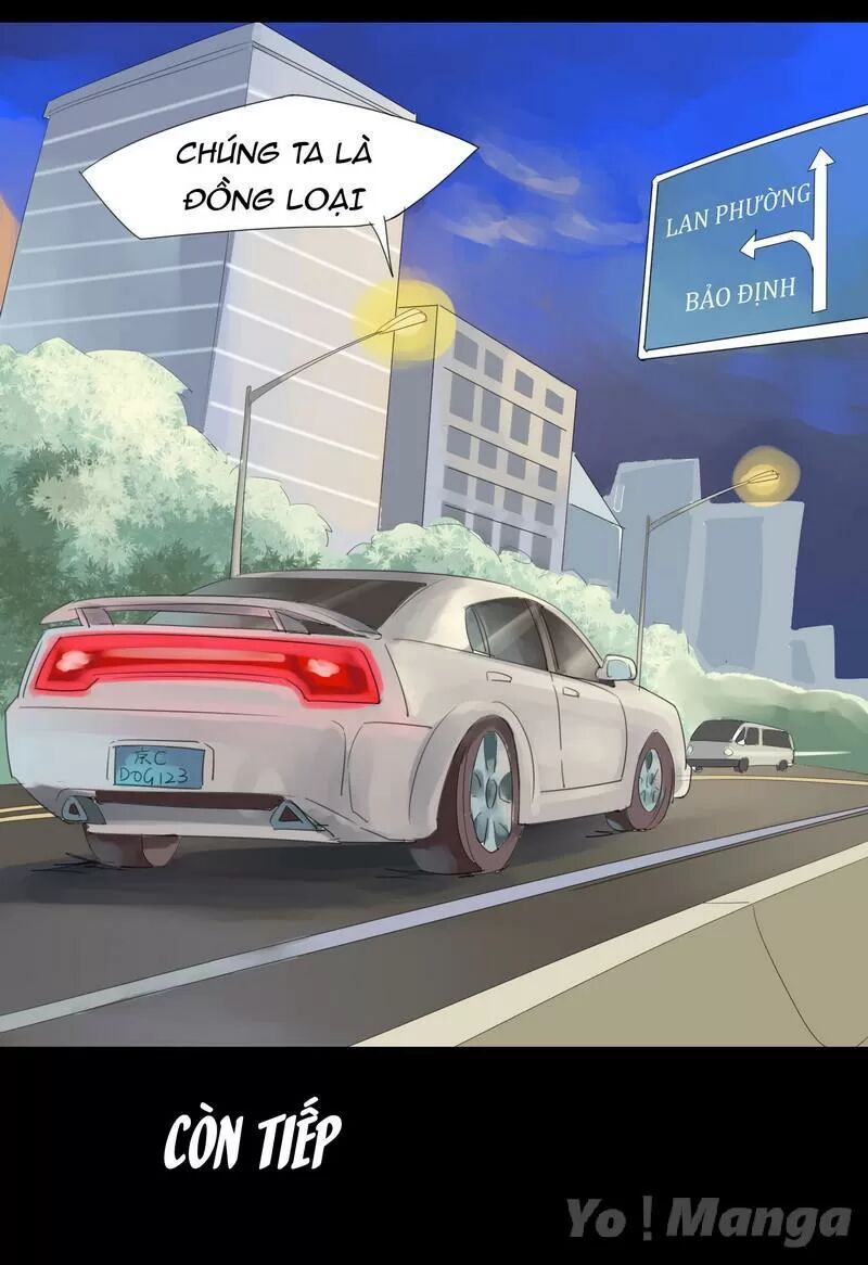 Một Con Chó: Chapter 12