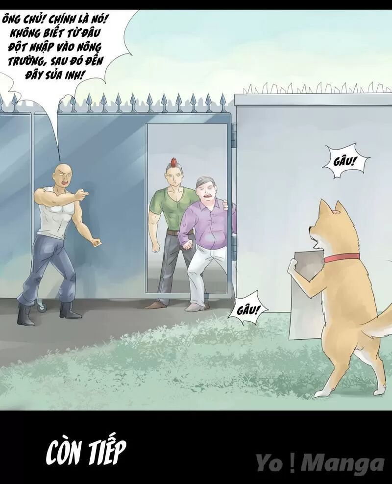 Một Con Chó: Chapter 14
