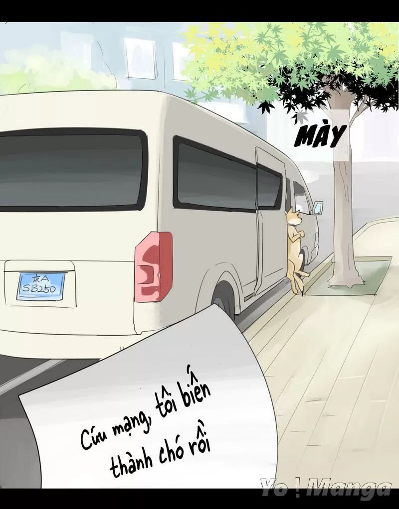 Một Con Chó: Chapter 2