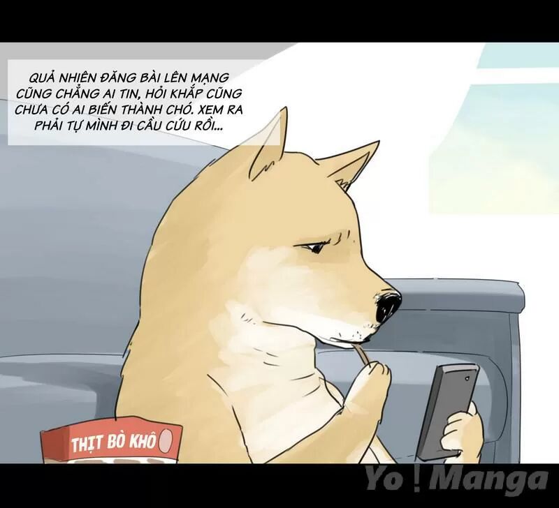 Một Con Chó: Chapter 2