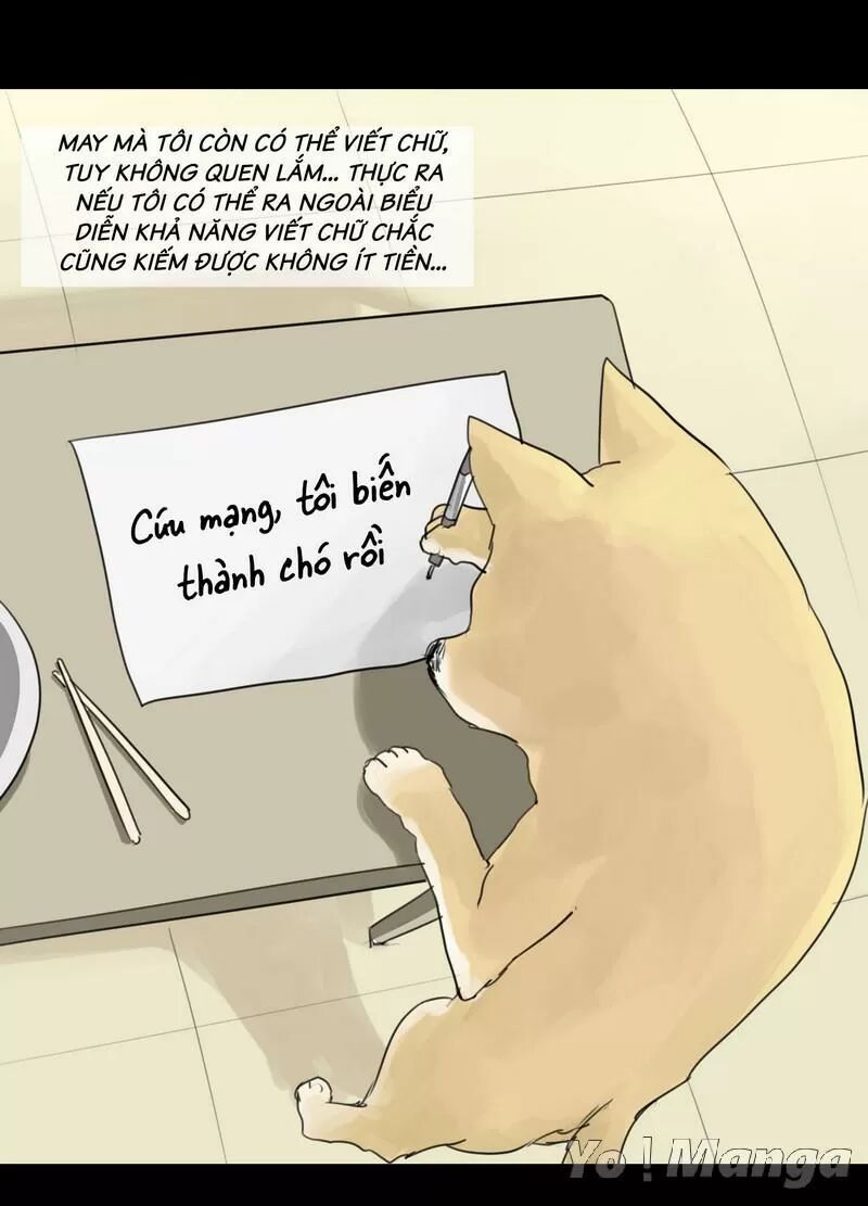 Một Con Chó: Chapter 2