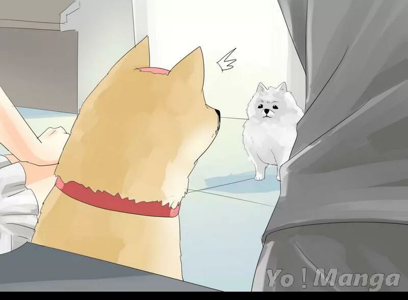 Một Con Chó: Chapter 24