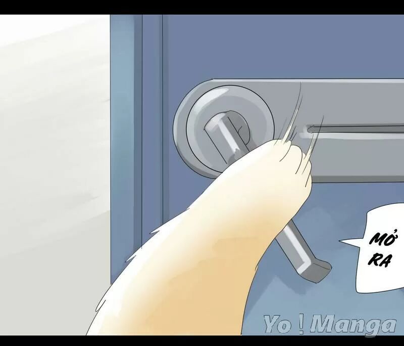 Một Con Chó: Chapter 24