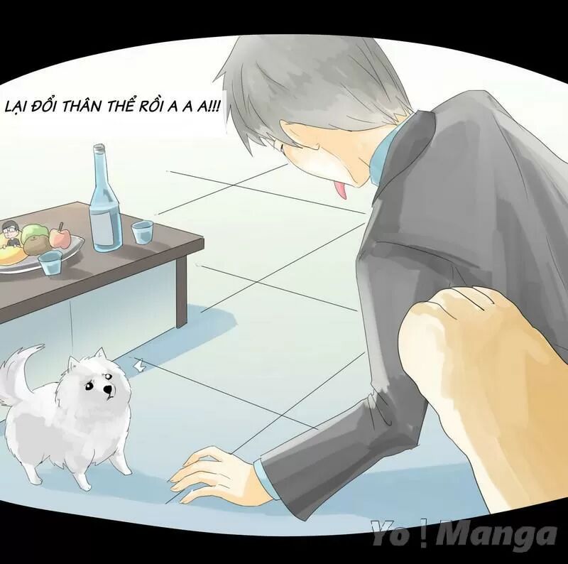 Một Con Chó: Chapter 24