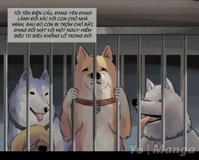 Một Con Chó: Chapter 3