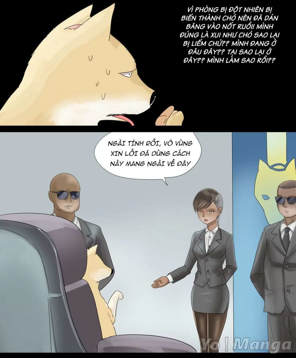 Một Con Chó: Chapter 30