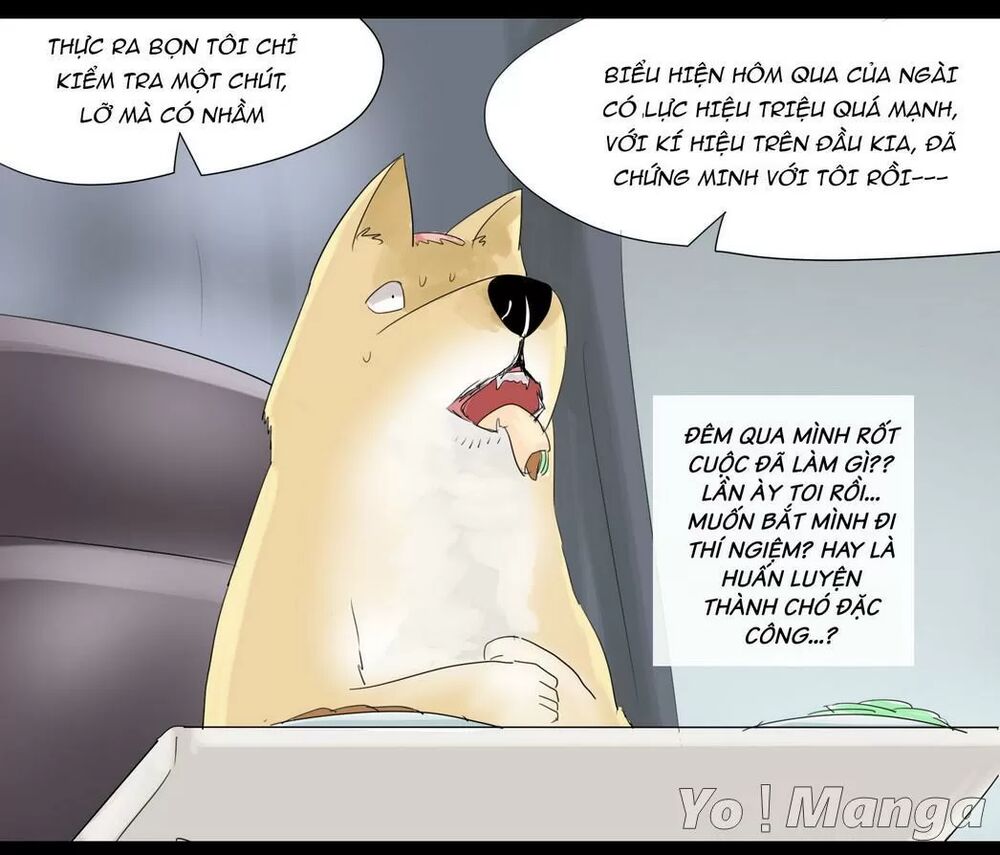 Một Con Chó: Chapter 30