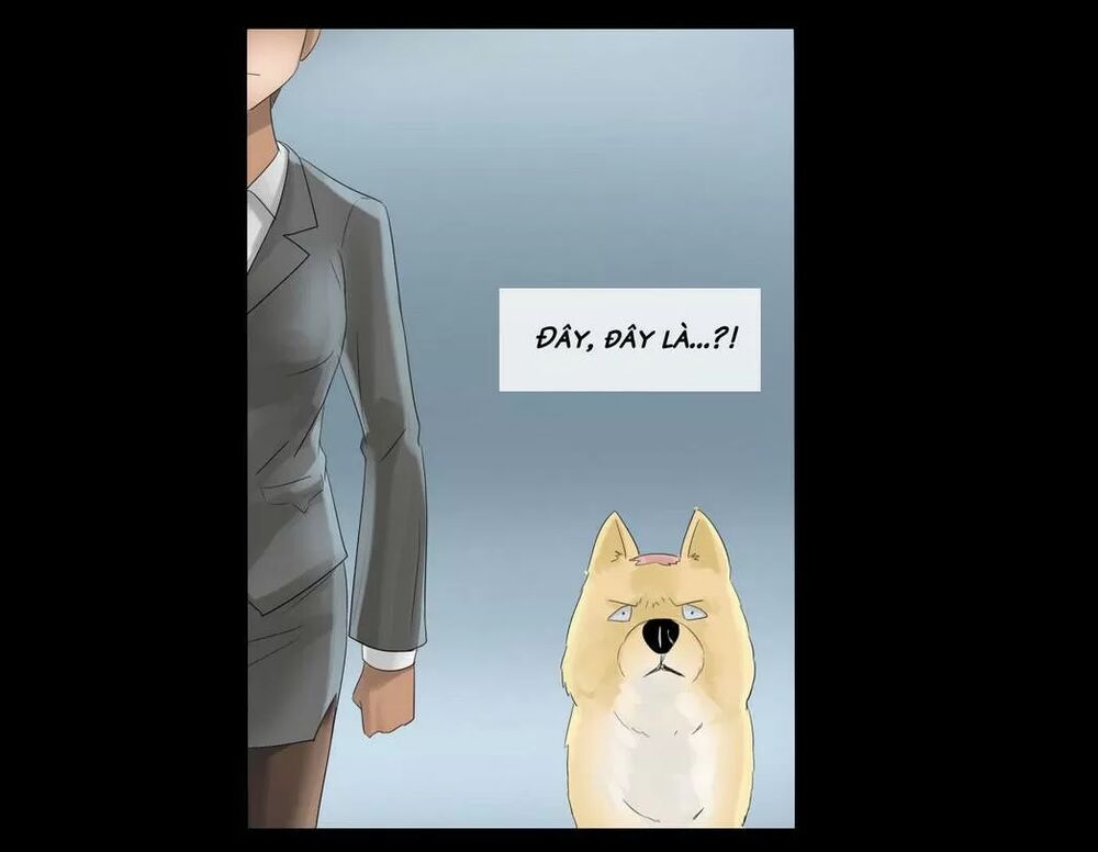 Một Con Chó: Chapter 32