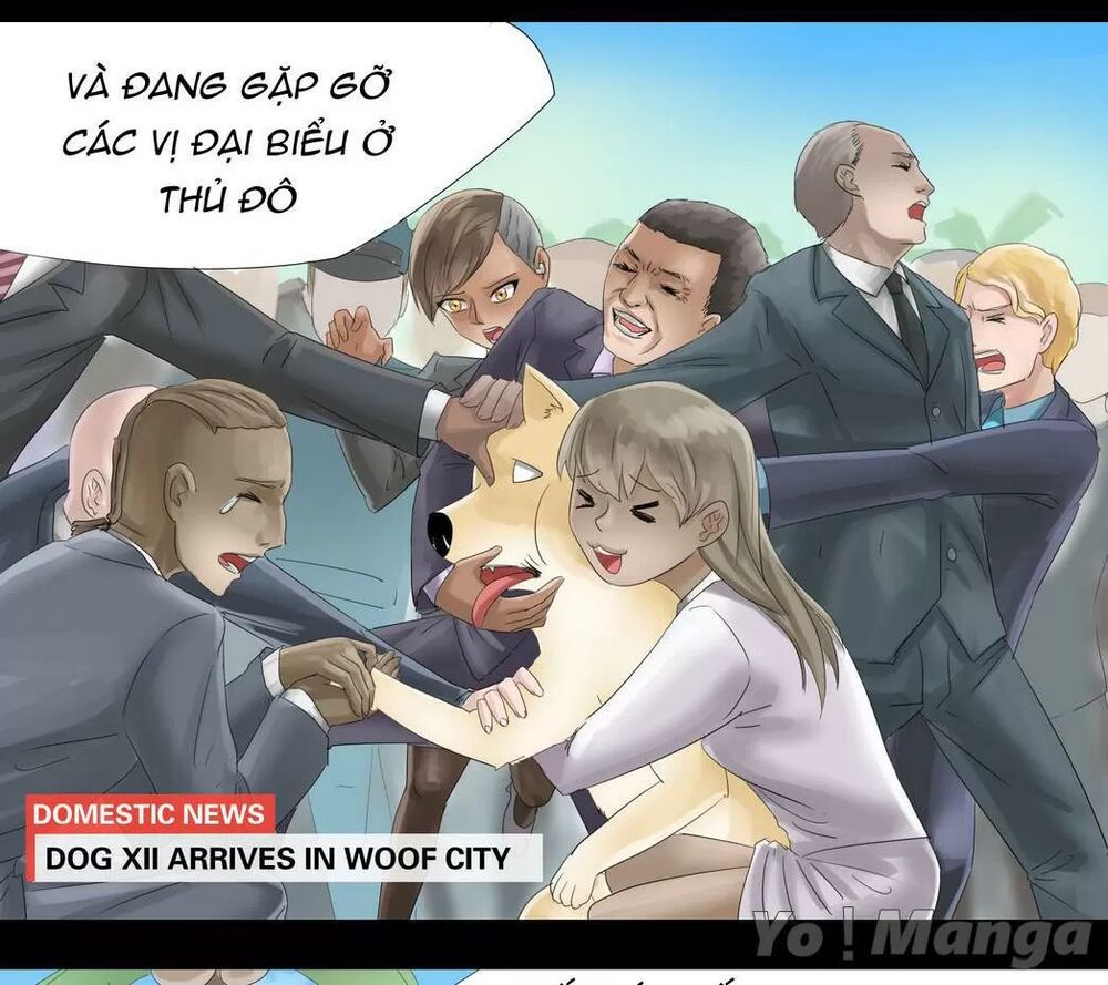 Một Con Chó: Chapter 32