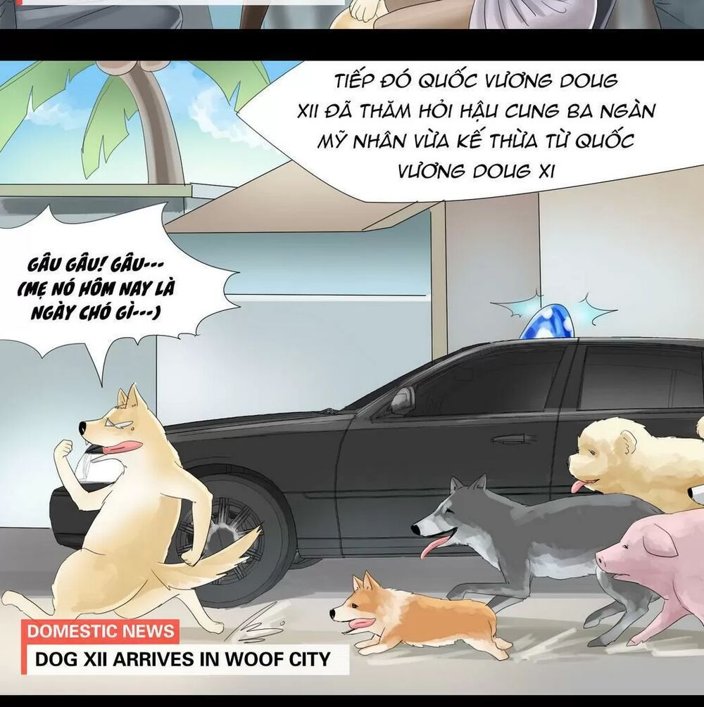 Một Con Chó: Chapter 32