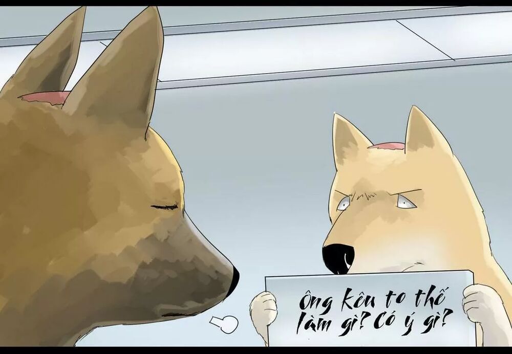 Một Con Chó: Chapter 33