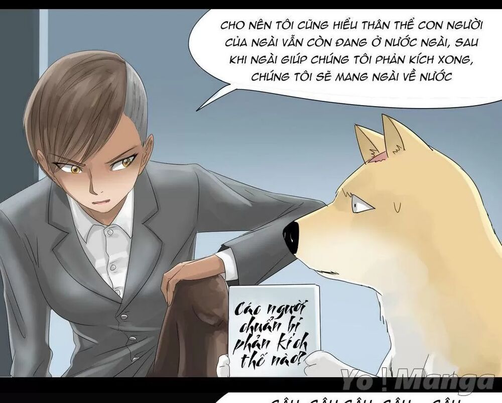 Một Con Chó: Chapter 33