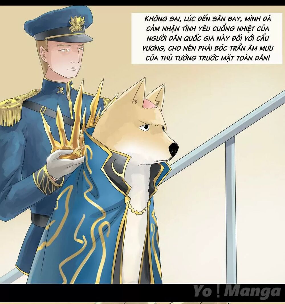 Một Con Chó: Chapter 35