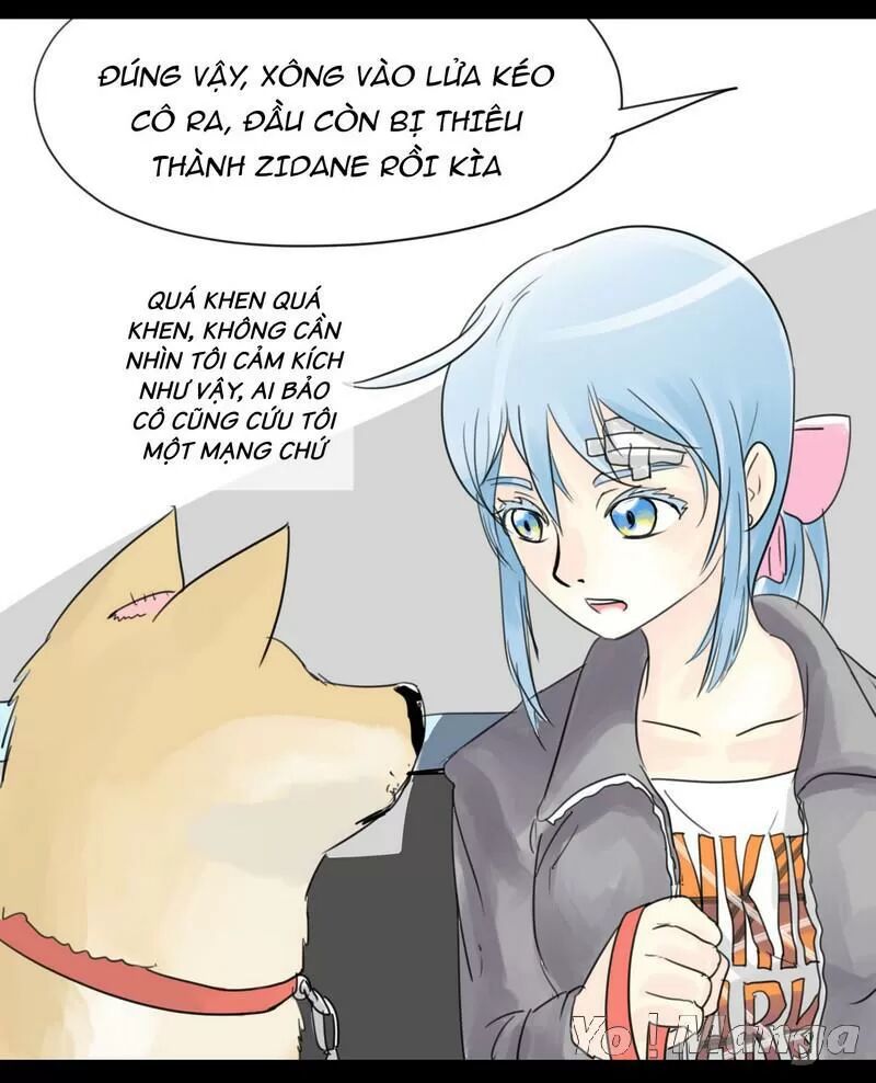 Một Con Chó: Chapter 4
