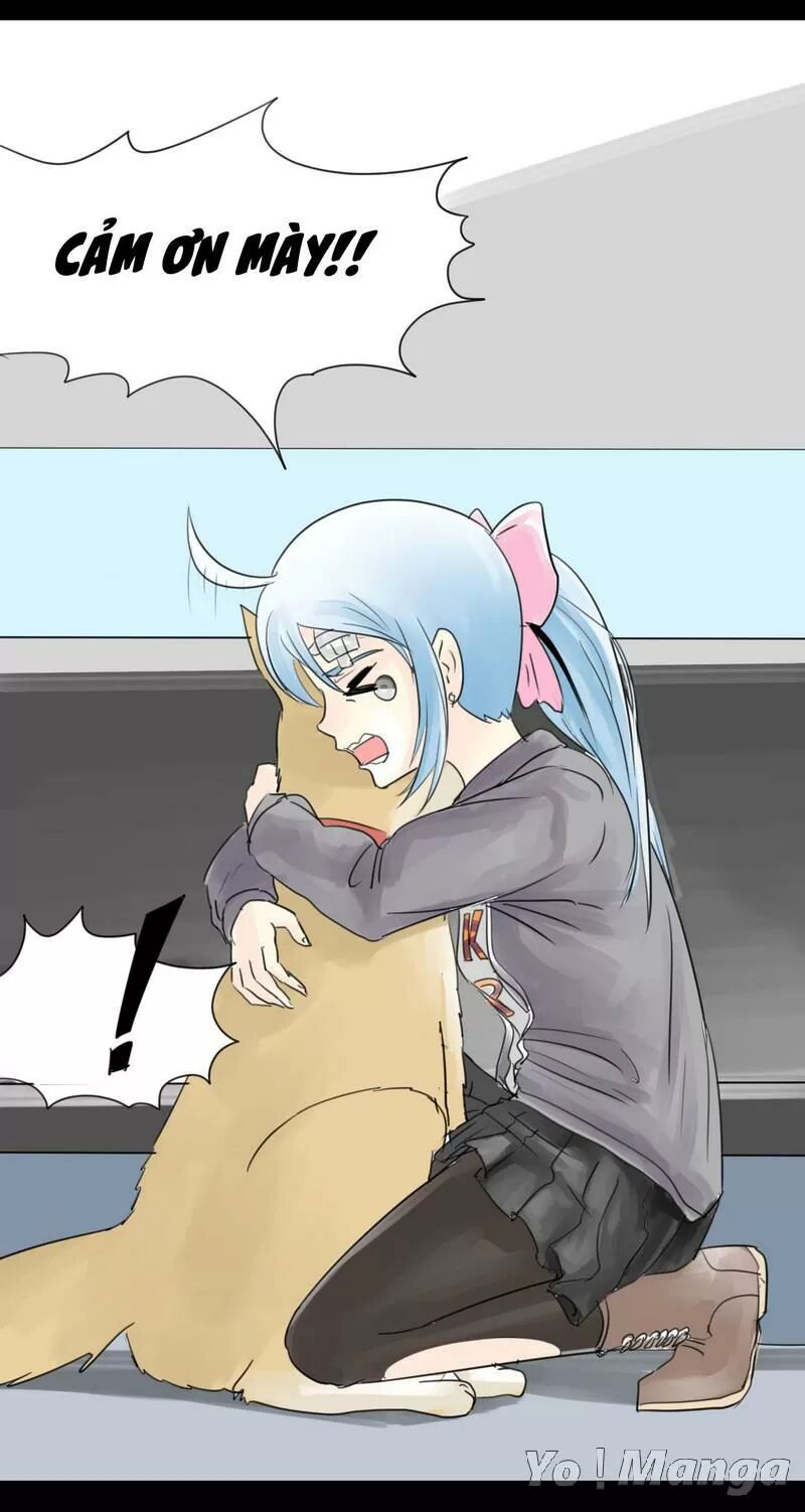 Một Con Chó: Chapter 4