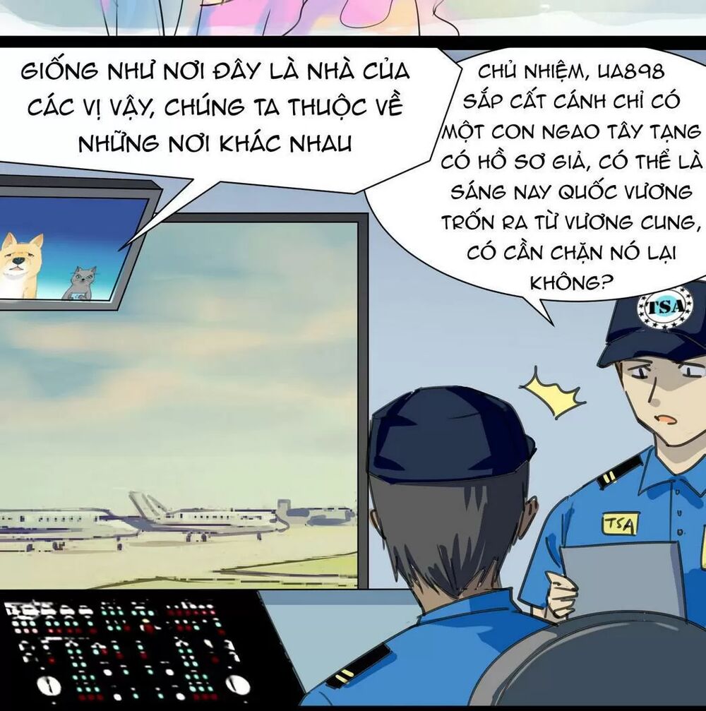 Một Con Chó: Chapter 42