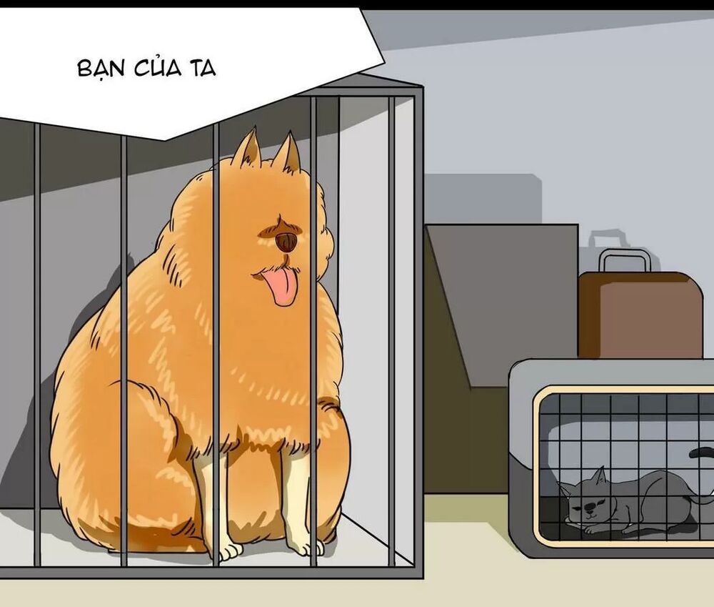 Một Con Chó: Chapter 42
