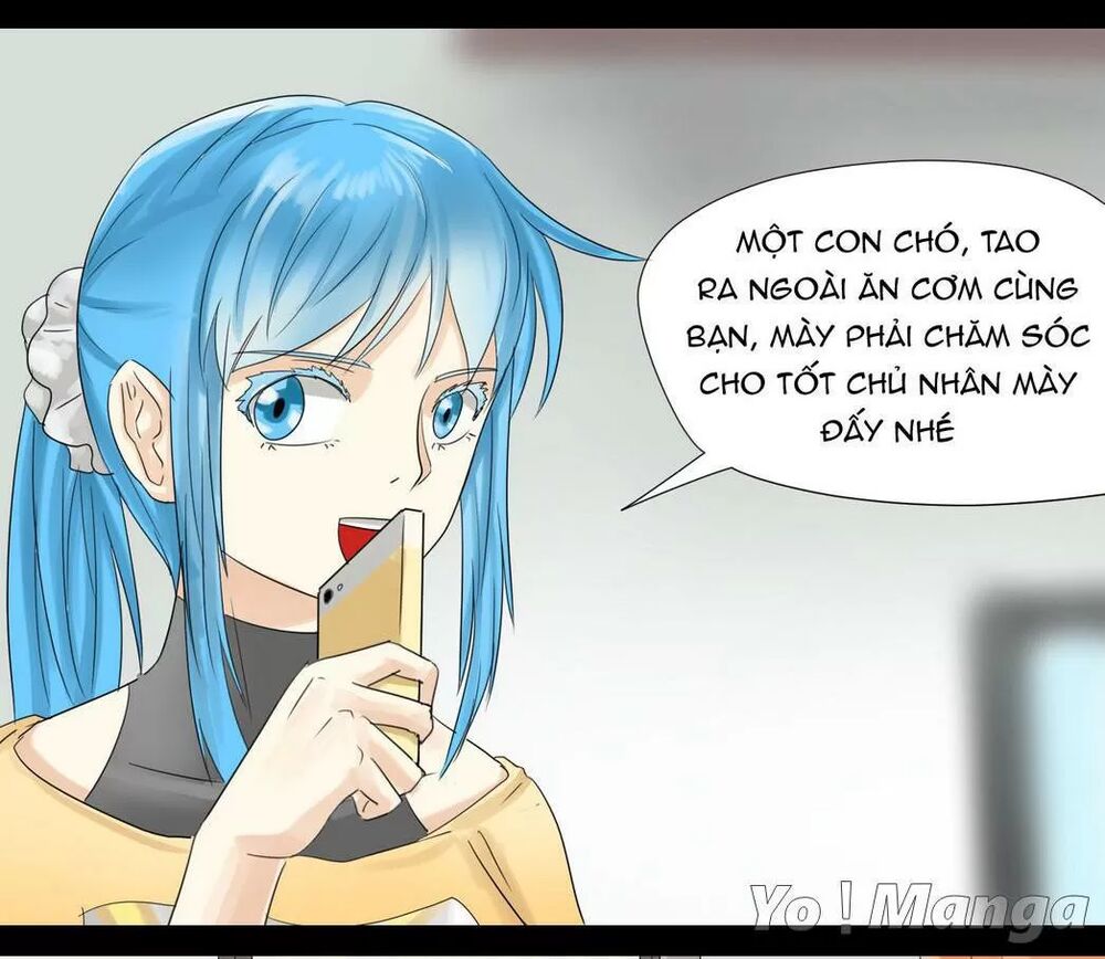 Một Con Chó: Chapter 43