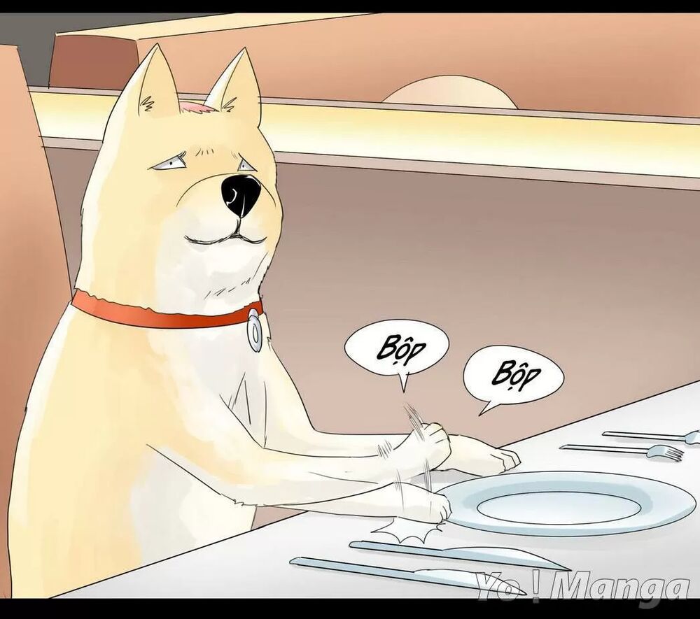 Một Con Chó: Chapter 44