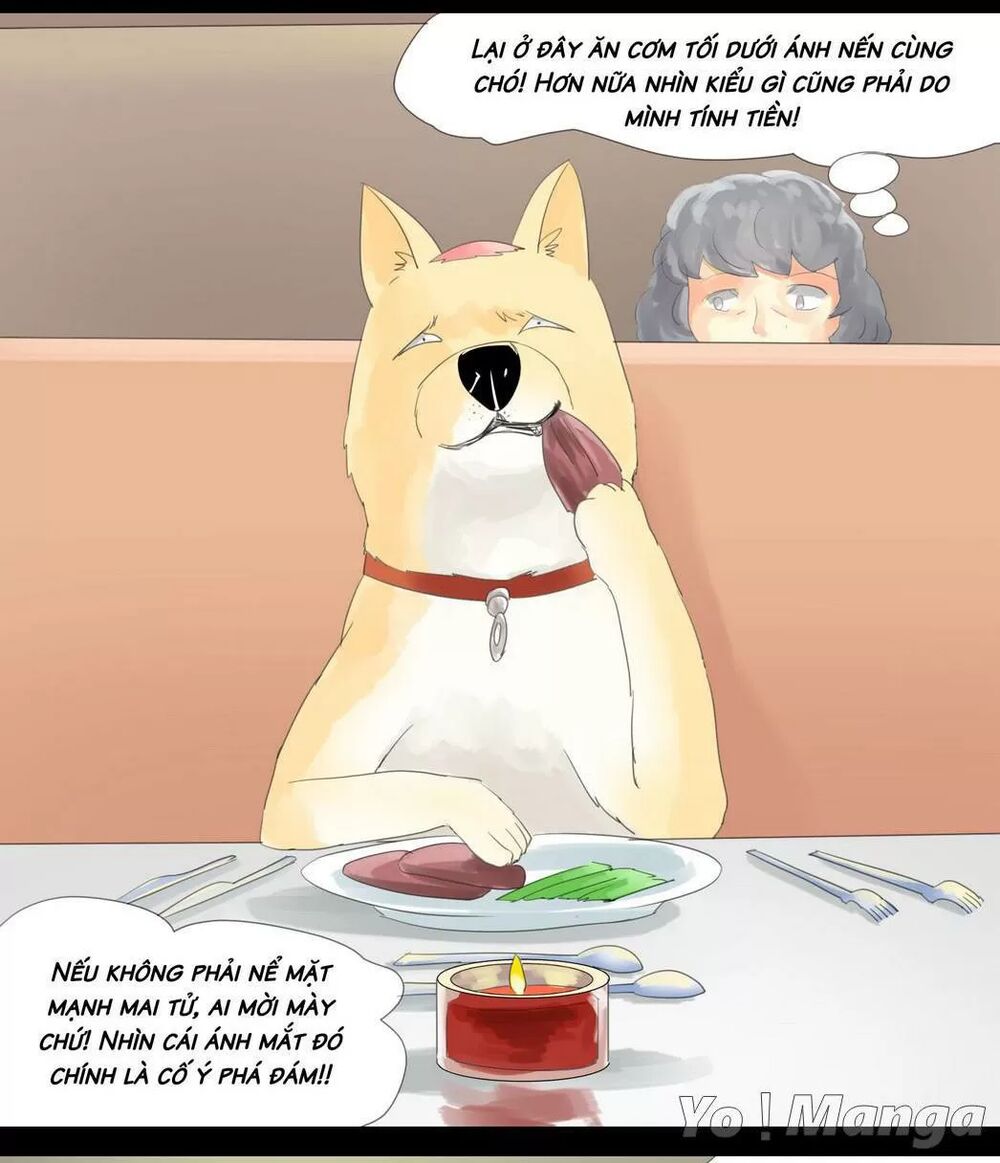 Một Con Chó: Chapter 45