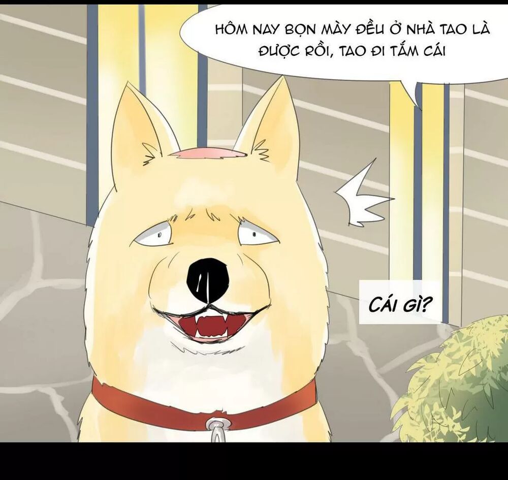 Một Con Chó: Chapter 46