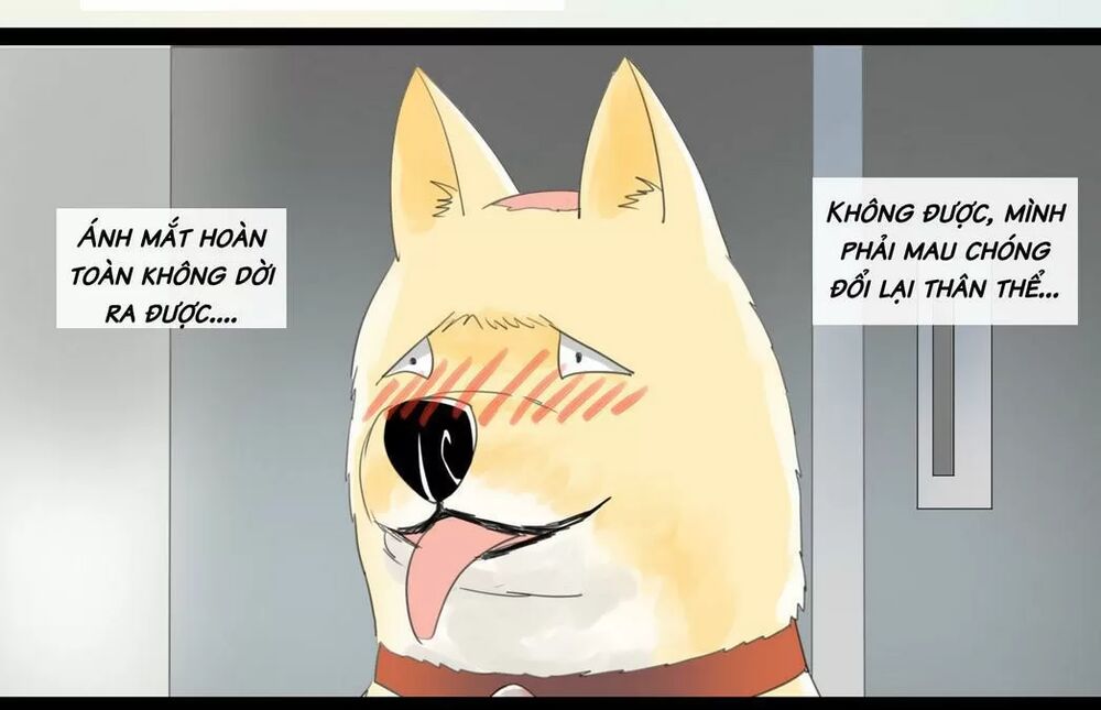 Một Con Chó: Chapter 46