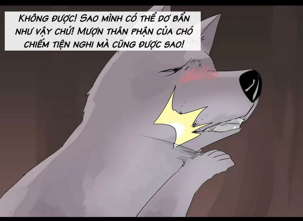 Một Con Chó: Chapter 47