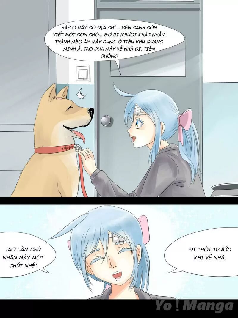 Một Con Chó: Chapter 5