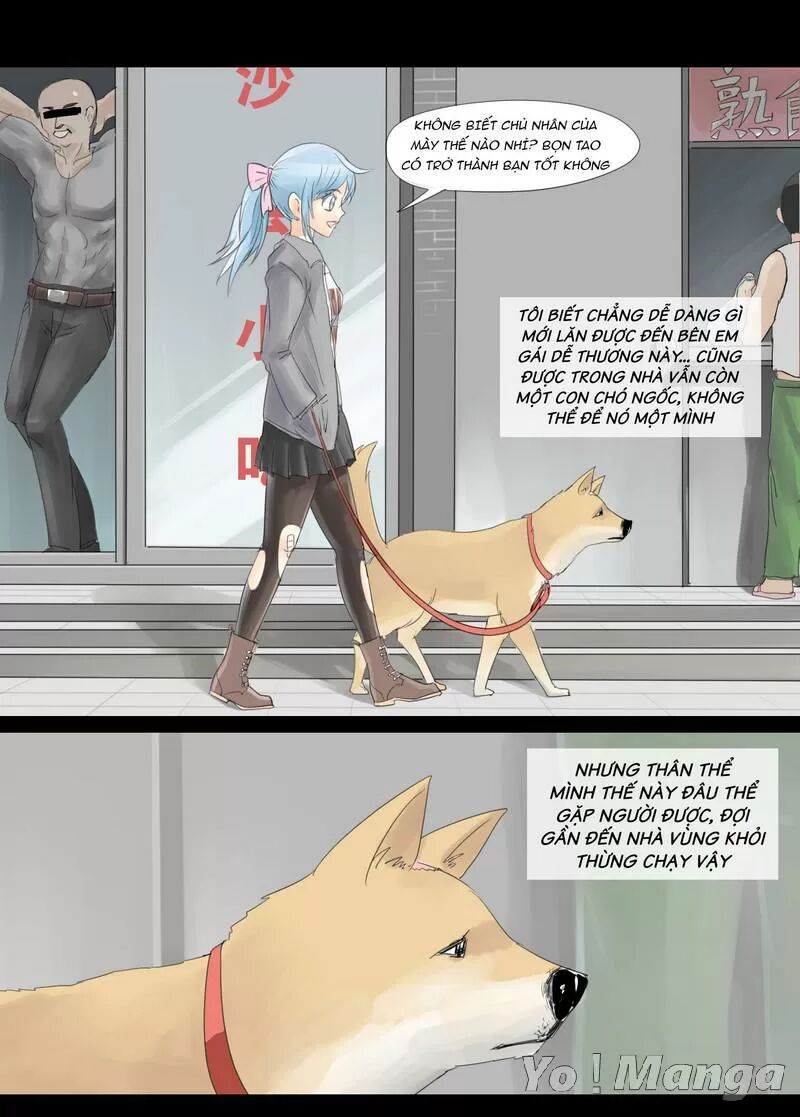 Một Con Chó: Chapter 5