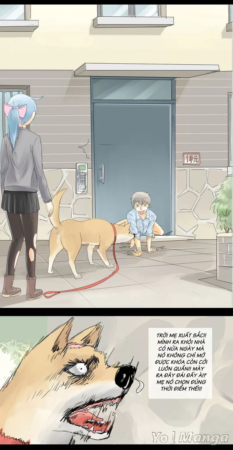 Một Con Chó: Chapter 5