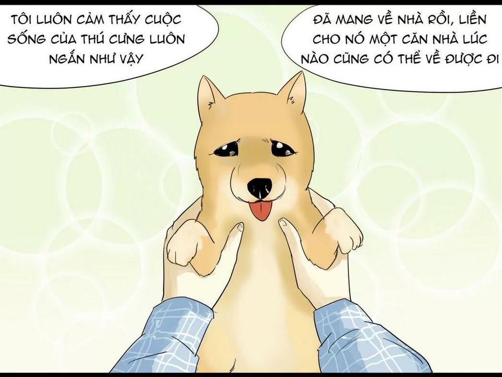 Một Con Chó: Chapter 50