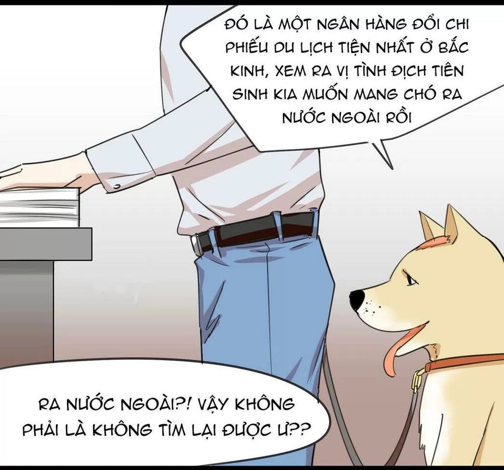 Một Con Chó: Chapter 51
