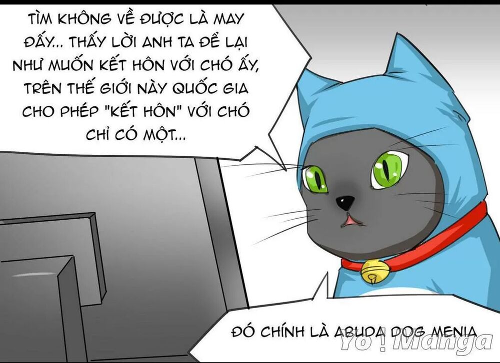Một Con Chó: Chapter 51