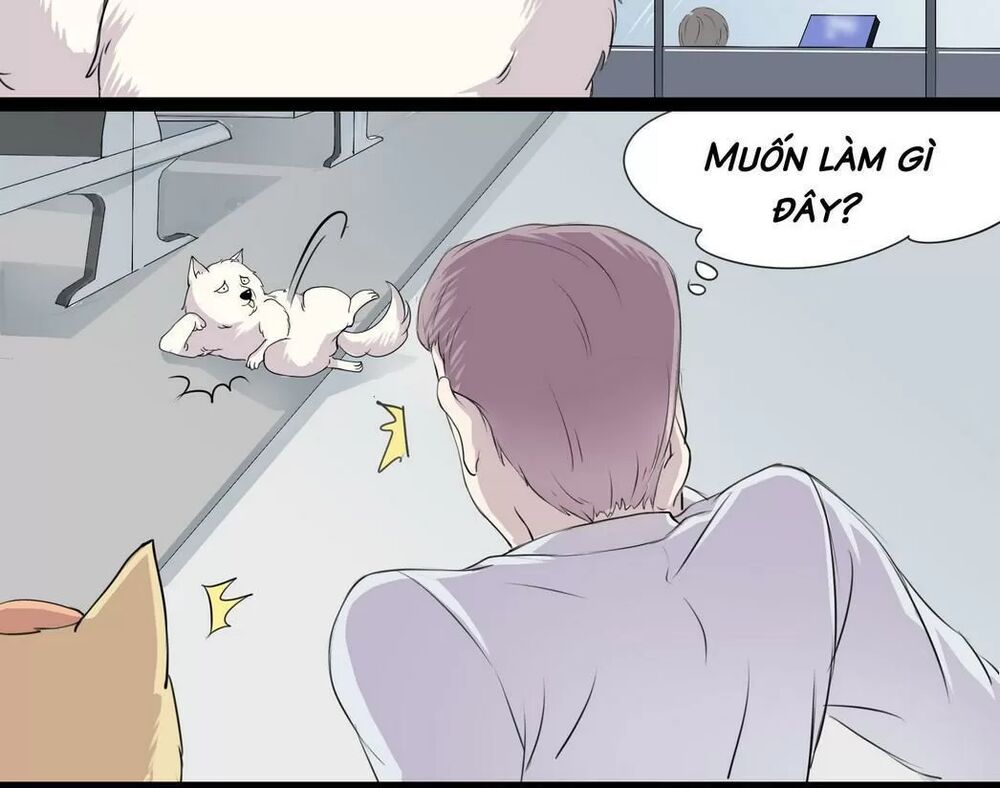 Một Con Chó: Chapter 53