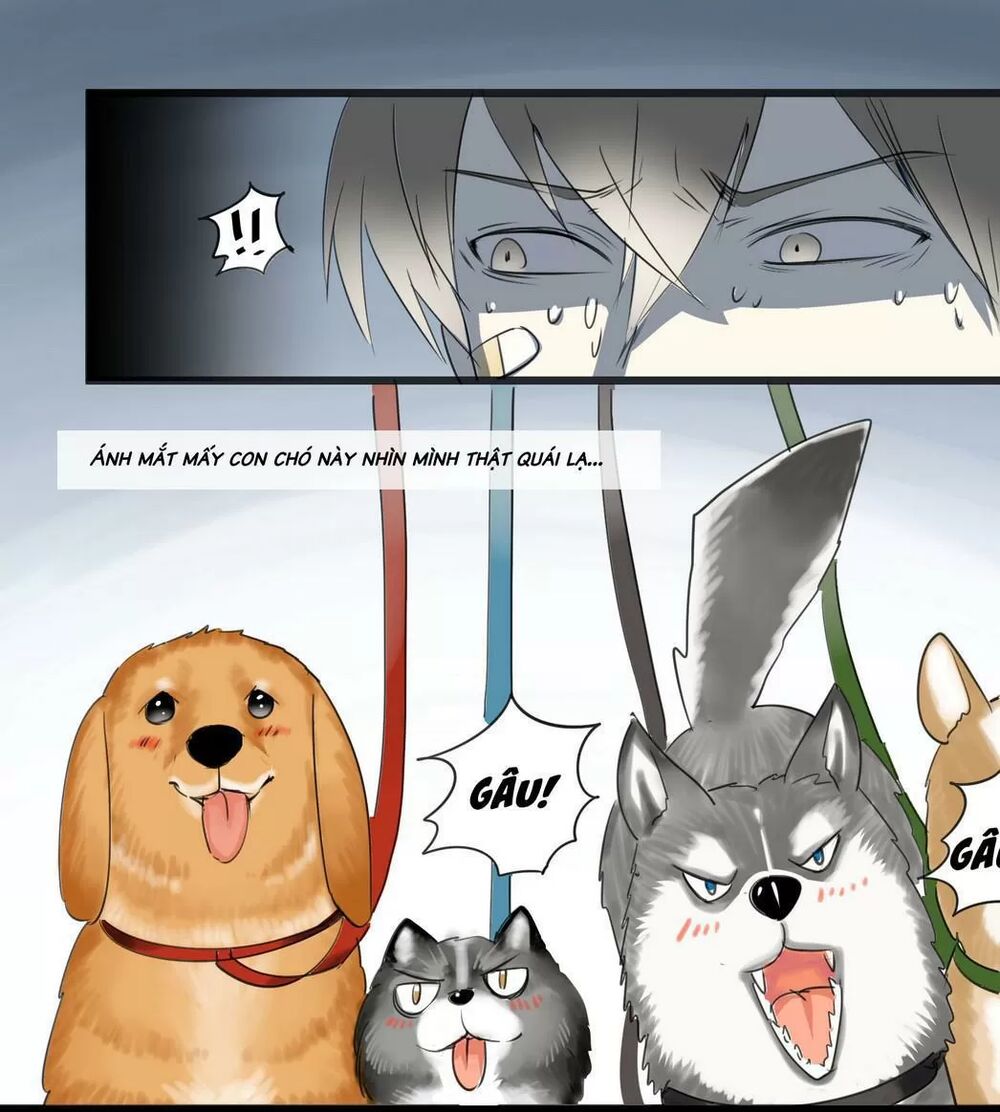 Một Con Chó: Chapter 56