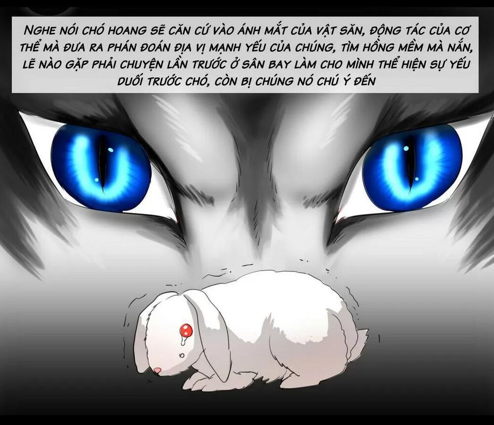Một Con Chó: Chapter 56