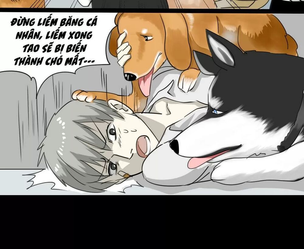 Một Con Chó: Chapter 56