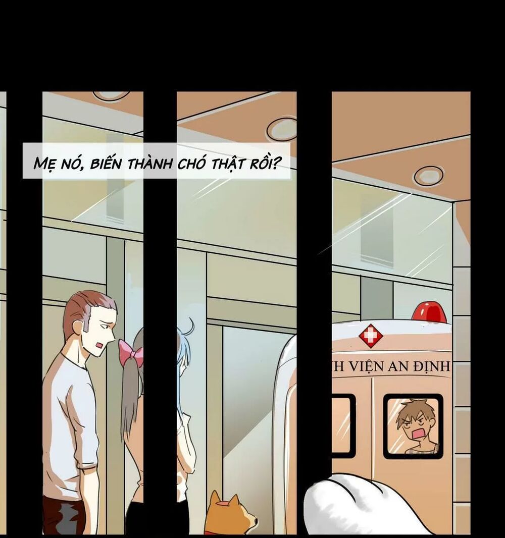 Một Con Chó: Chapter 56