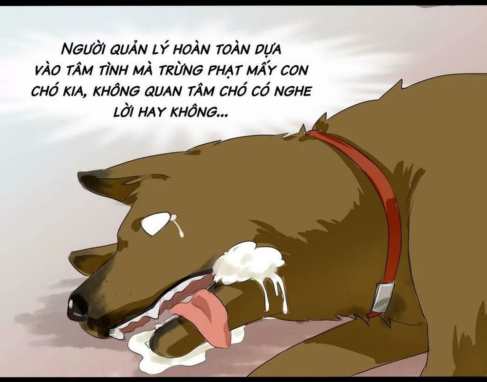 Một Con Chó: Chapter 57