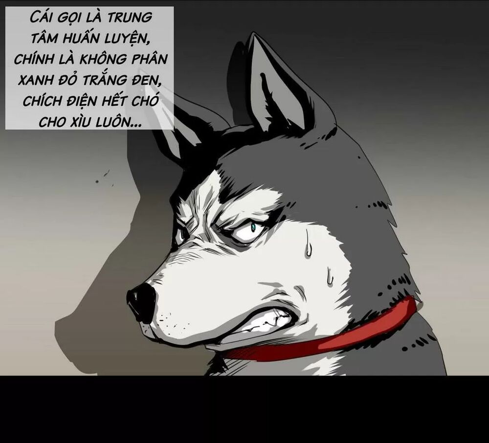 Một Con Chó: Chapter 58