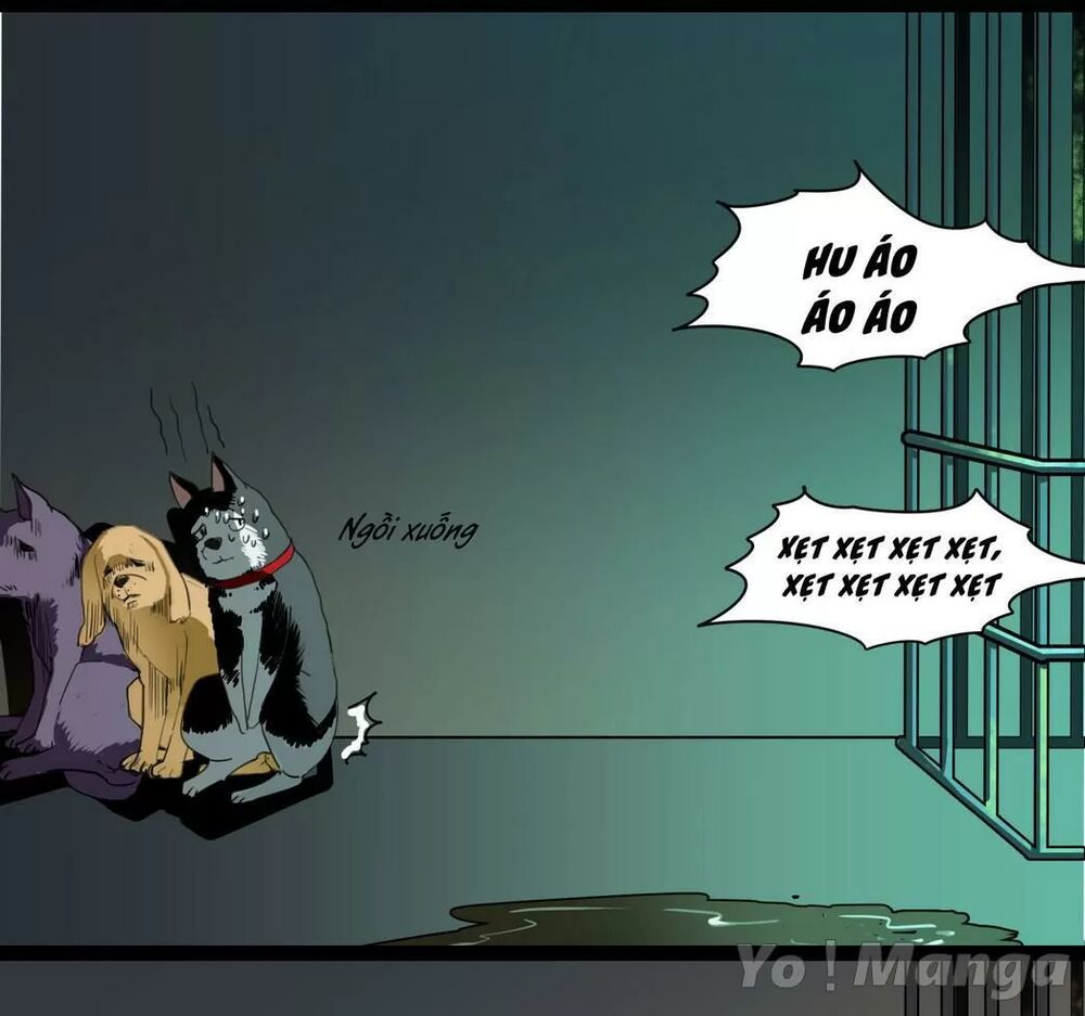 Một Con Chó: Chapter 58