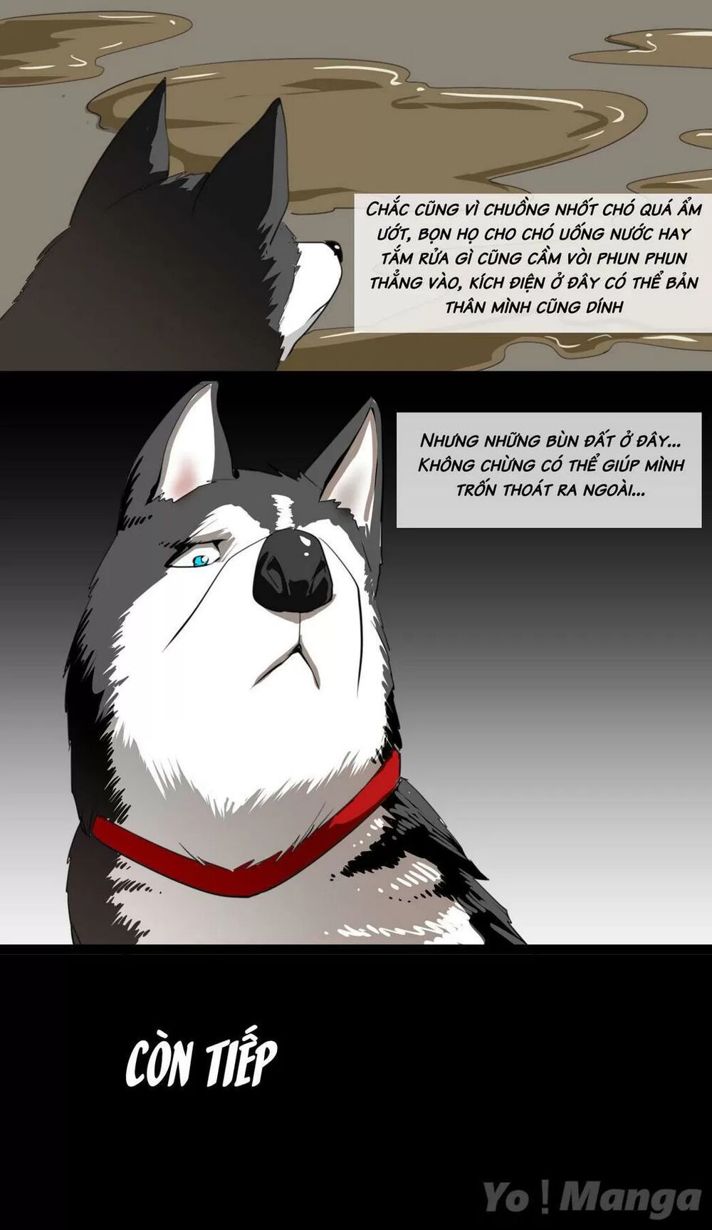 Một Con Chó: Chapter 59