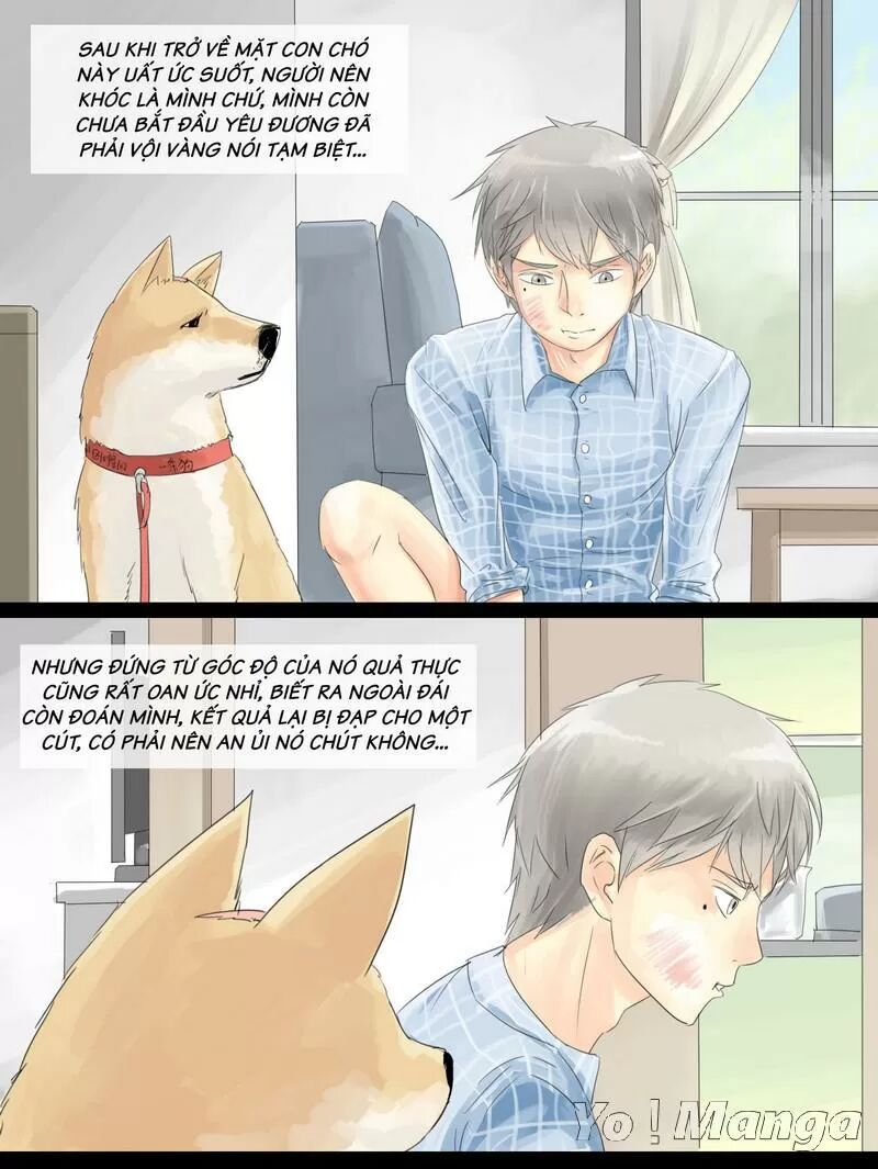 Một Con Chó: Chapter 6