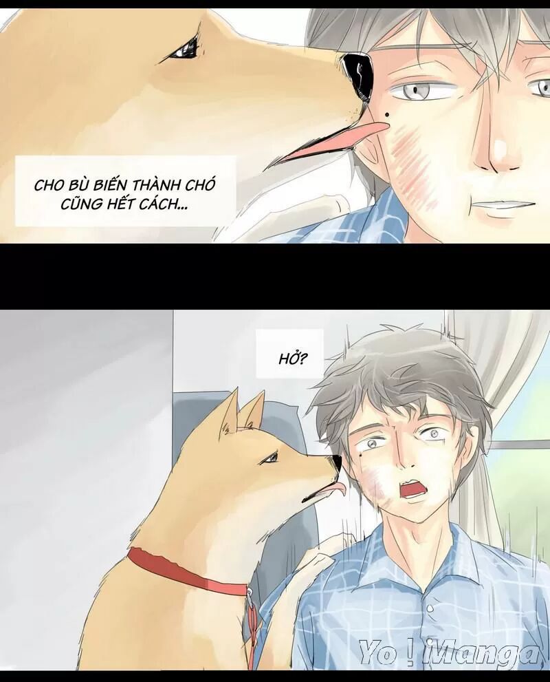 Một Con Chó: Chapter 6