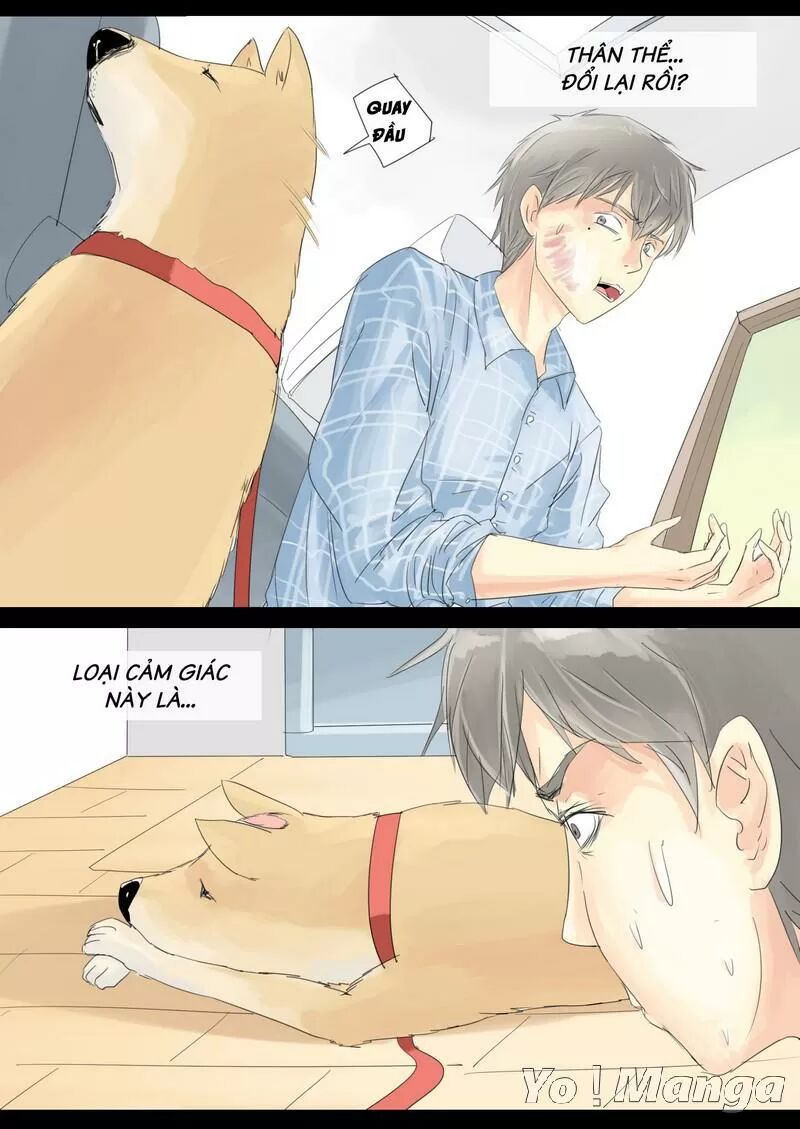 Một Con Chó: Chapter 6